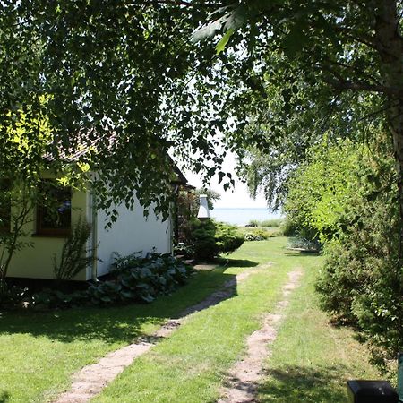 Villa Beata Нове Варпно Екстериор снимка