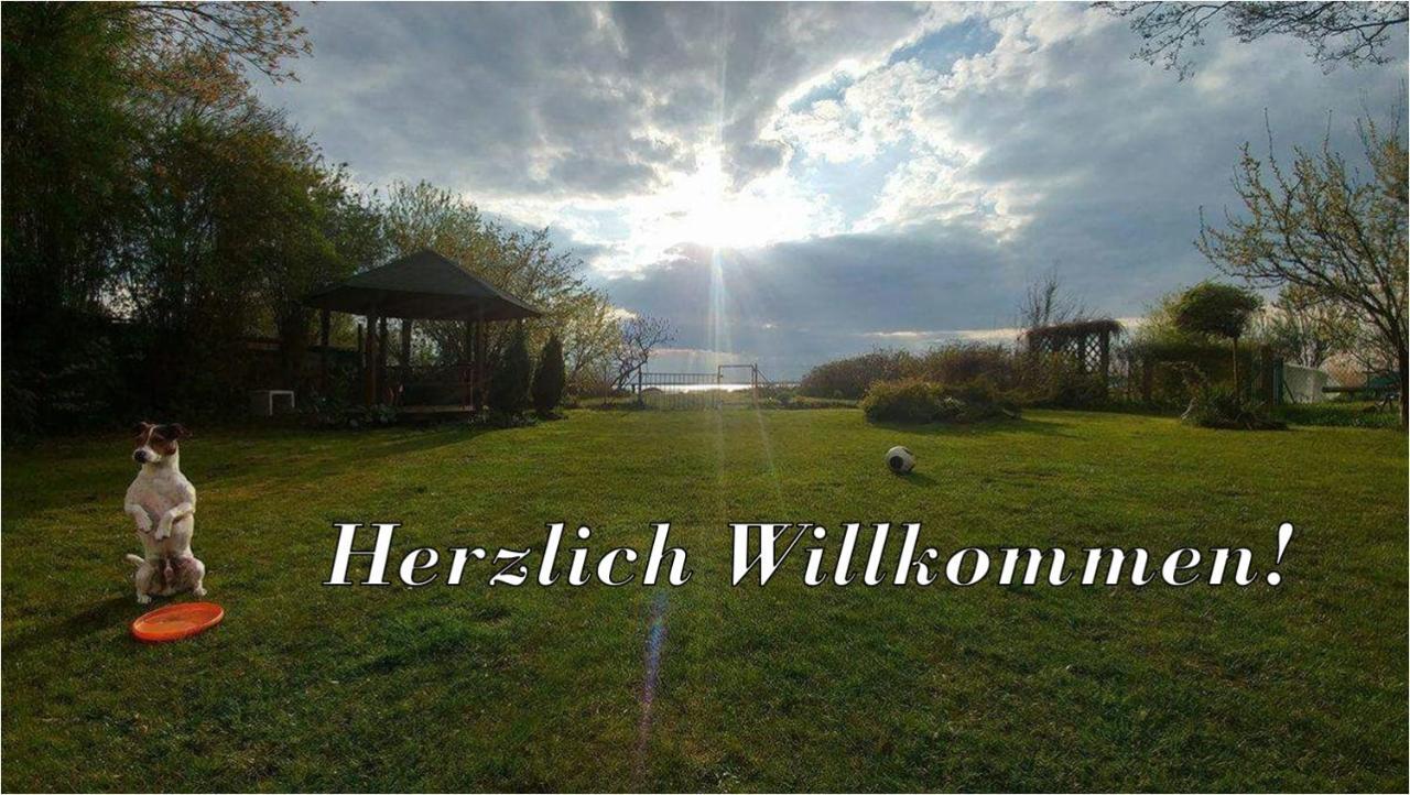 Villa Beata Нове Варпно Екстериор снимка